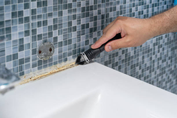Best Preventive Mold Services in Dewitt, MI