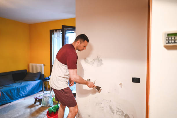 Reliable Dewitt, MI Mold Remediation Solutions